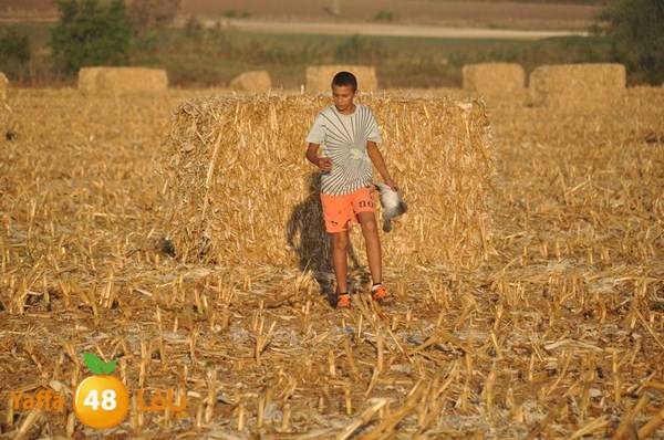 7amam lud monir 908 (44).JPG